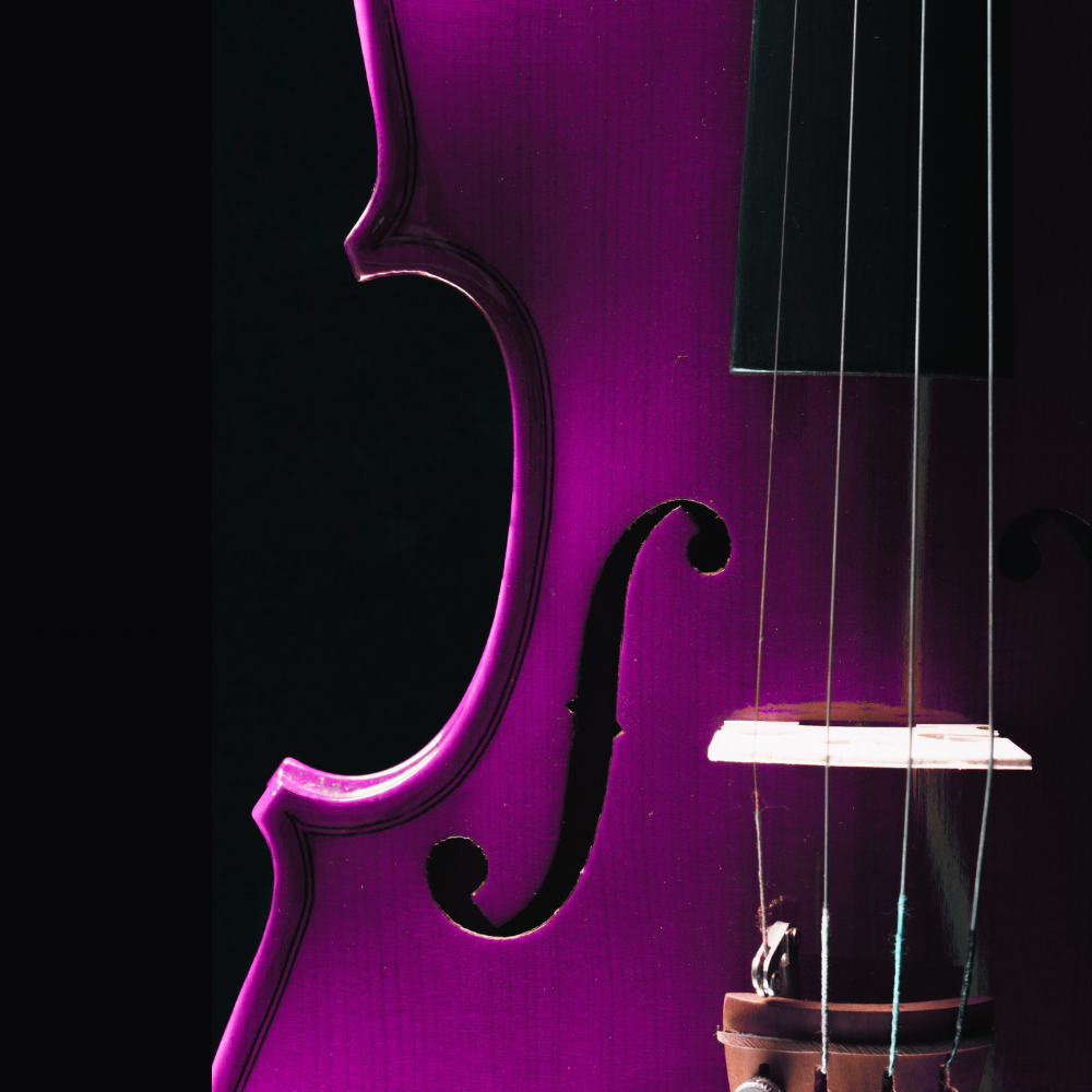 Einstein in Oxford: Thinking in Music