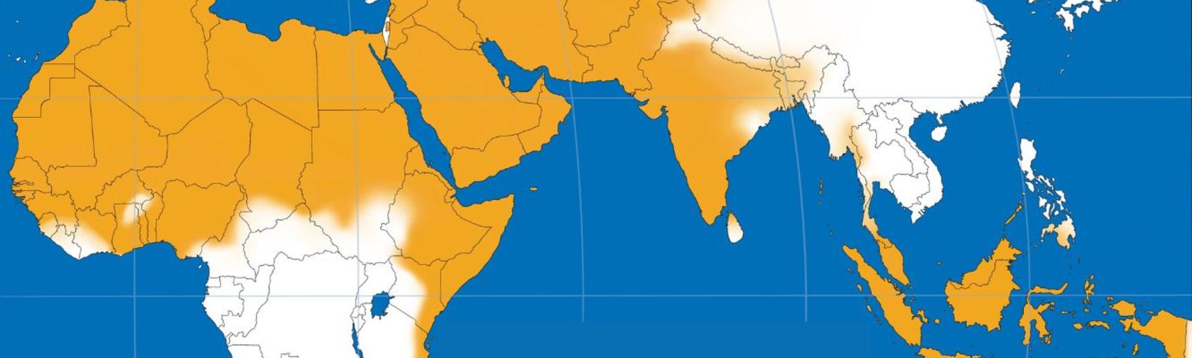 Map 12 The Islamic World Today