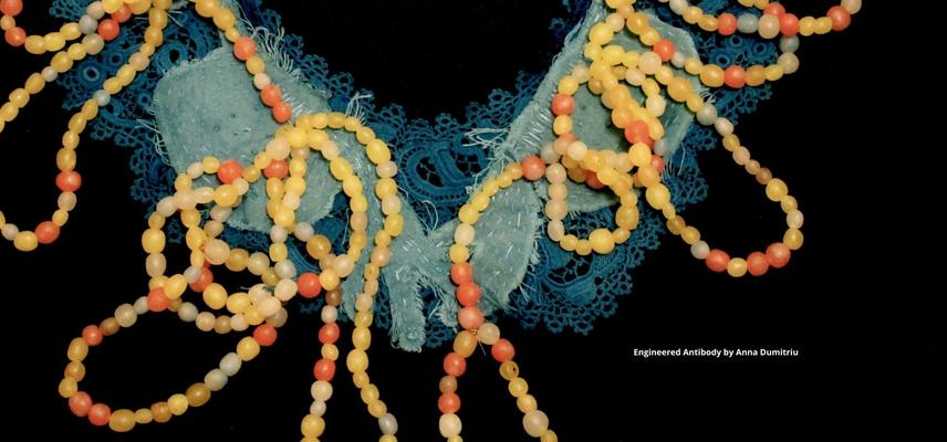 Bioart and Bacteria Anna Dumitriu Exhibition Engineered Antibody copyright Anna Dumitriu