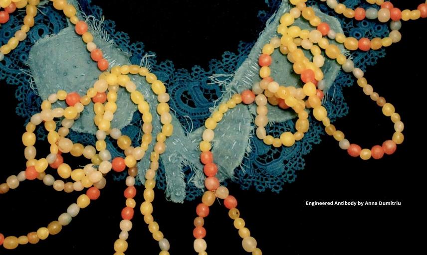Bioart and Bacteria Anna Dumitriu Exhibition Engineered Antibody copyright Anna Dumitriu