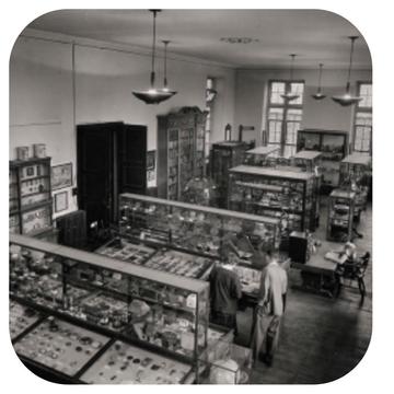 History of Science Museum (Old Ashmolean building) Top gallery c. 1951 History of Science Museum (Old Ashmolean building) Top gallery c. 1951